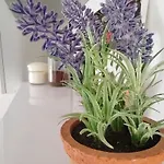 Zlatko Apartmán
